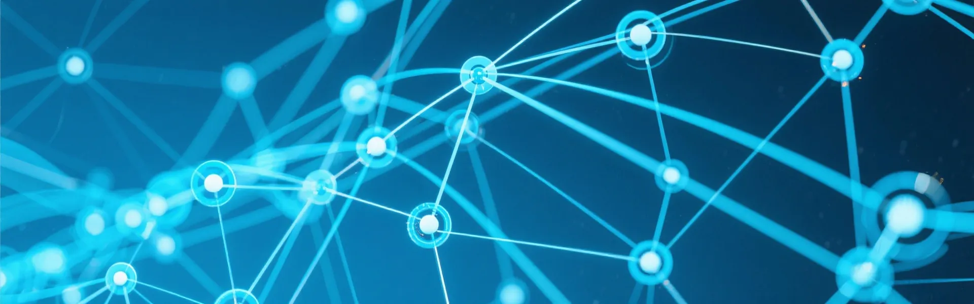 Network Connectivity